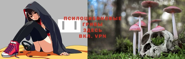 дживик Гусев
