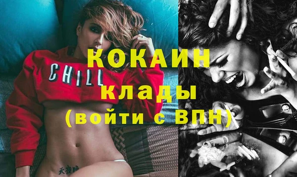 молекула духа Дмитриев
