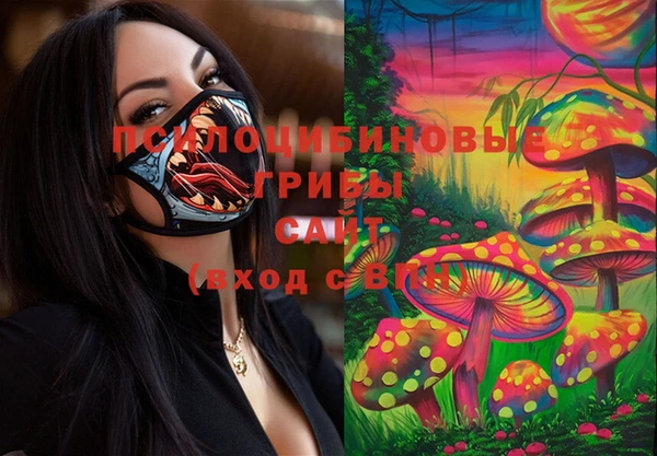 спайс Гусиноозёрск