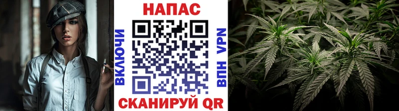 МАРИХУАНА план  Жердевка 